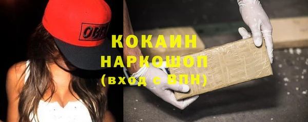 прущие грибы Алзамай