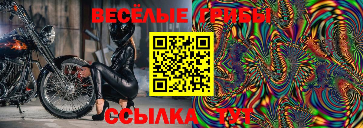Псилоцибиновые грибы GOLDEN TEACHER Десногорск