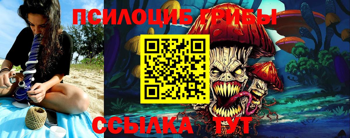 Галлюциногенные грибы Psilocybine cubensis  Псилоцибиновые грибы Psilocybine cubensis  Вход с VPN  Десногорск 